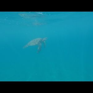 Meet your Posher, Federico